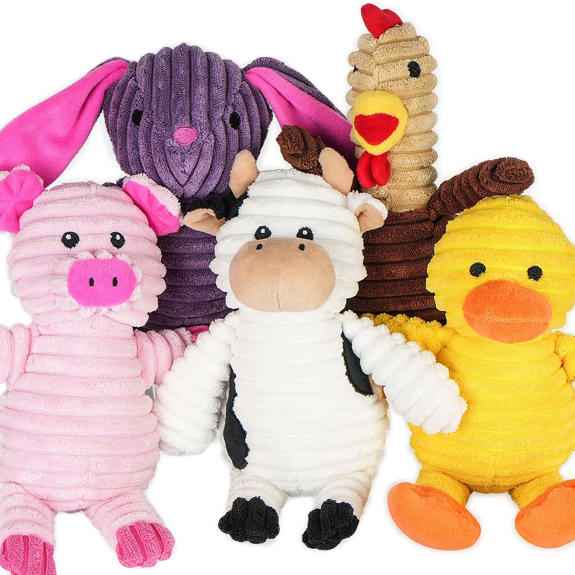 5 Pack Stuffed Squeaky Toys