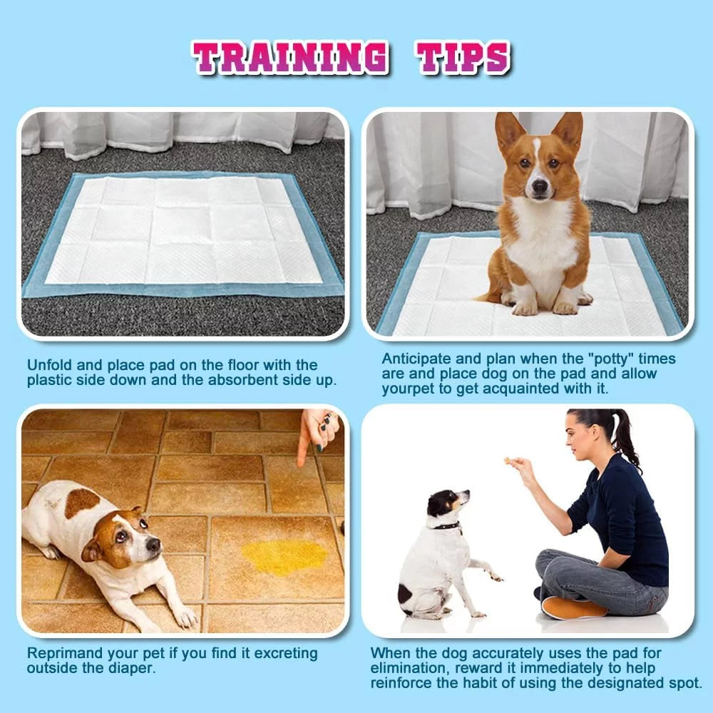 150 Count Medium ( M 30" X 36") Super Absorbent Dog and Puppy Training Pads