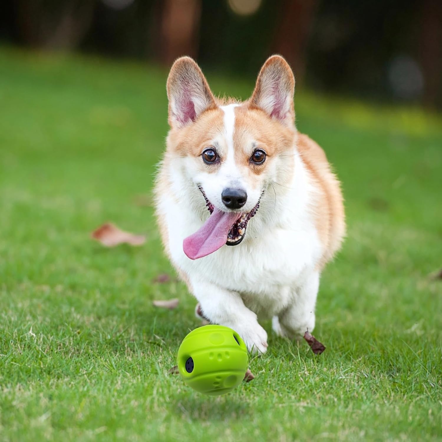 Small Interactive Sound Ball - For Dogs