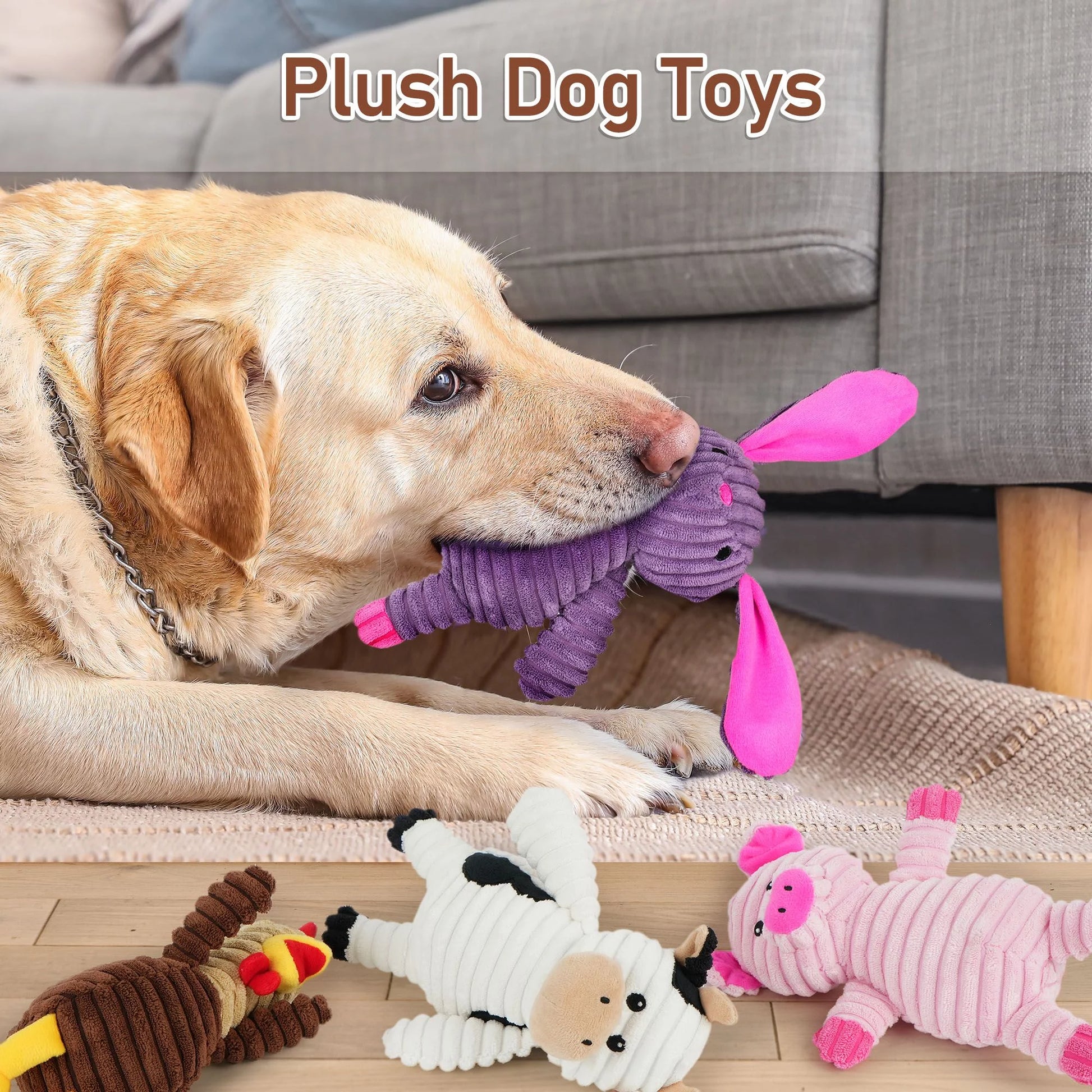 5 Pack Stuffed Squeaky Toys