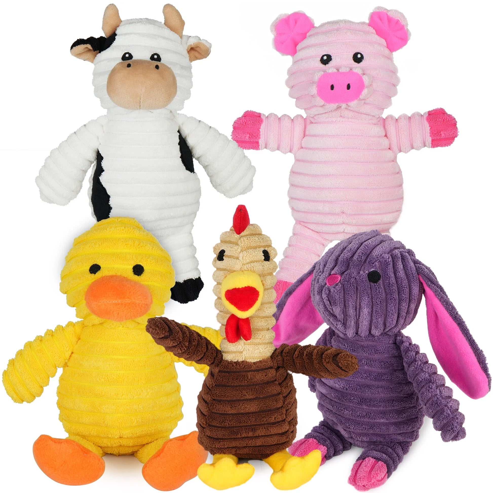 5 Pack Stuffed Squeaky Toys